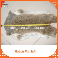 Conejo de liebre marrón natural de alta calidad Piel de piel